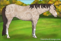 Horse Color:Classic Champagne Ice 