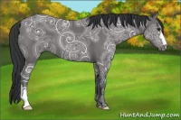Horse Color:Black Ice 