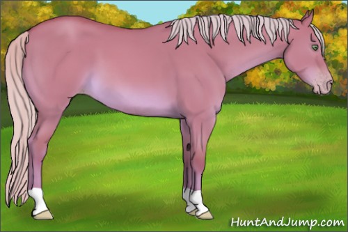Horse Color:Silver Sable Champagne Dun 