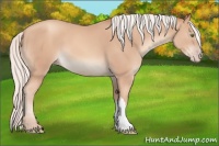 Horse Color:Silver Classic Champagne 