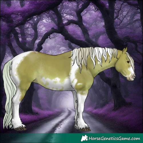 Horse Color:Silver Bay Dun Tobiano Frame Rabicano 