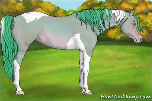 Horse Color:Unknown 
