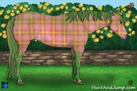 Horse Color:Watercolor Plaid  Bay 