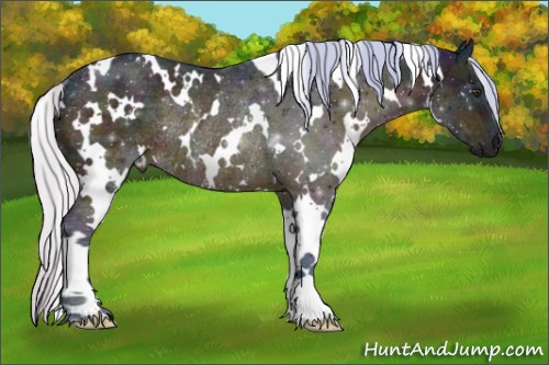 Horse Color:Watercolor White Spotted Midnight Silver Brown Ice Rabicano 