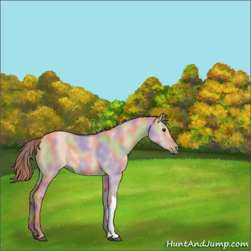 Horse Color:Nacre Red Dun 