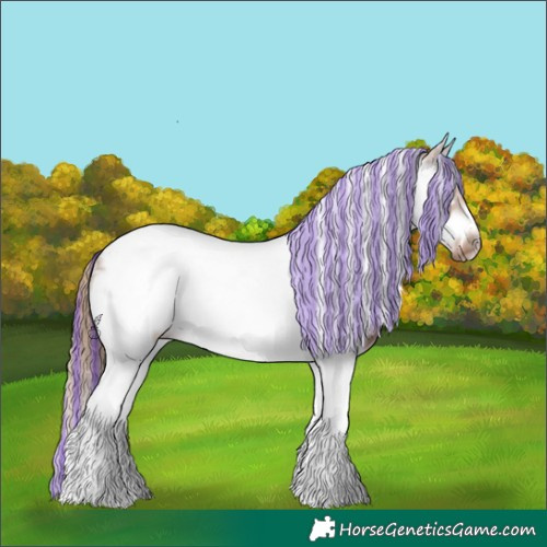 Horse Color:Painted White Spotted Chestnut Ice Splash Tobiano Frame 