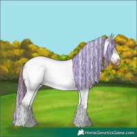Horse Color:Painted White Spotted Chestnut Ice Splash Tobiano Frame
