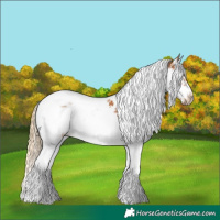 Horse Color:Chestnut Splash Tobiano Frame