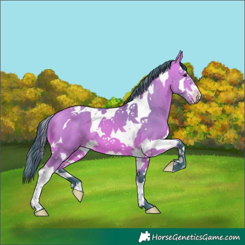Horse Color:Watercolor Bay Splash Tobiano