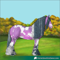 Horse Color:Watercolor Bay Splash Tobiano 