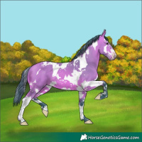 Horse Color:Watercolor Bay Splash Tobiano 