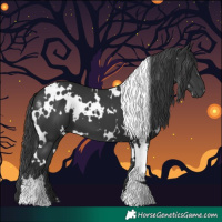 Horse Color:White Spotted Black 