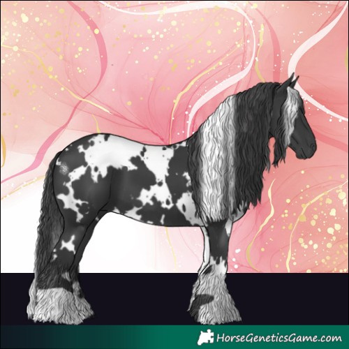 Horse Color:White Spotted Black 
