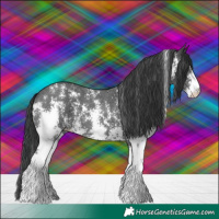 Horse Color:Black Sabino