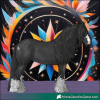 Horse Color:Black 