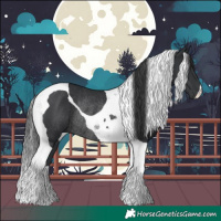 Horse Color:Black Tobiano Rabicano