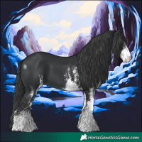 Horse Color:White Spotted Black