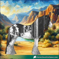 Horse Color:White Spotted Black