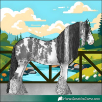 Horse Color:White Spotted Black 