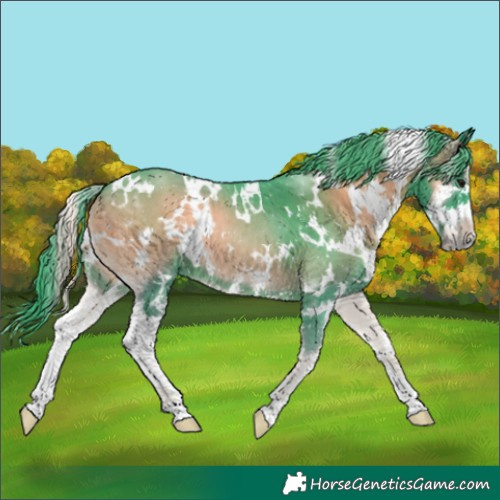 Horse Color:Watercolor White Spotted Blue Onyx Sabino 