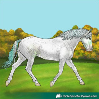 Horse Color:Watercolor White Spotted Brown Onyx Tobiano 