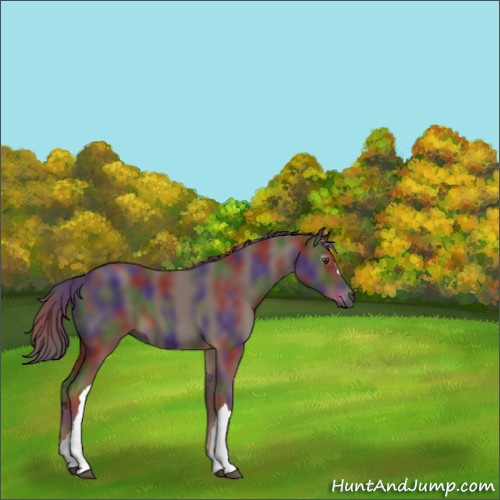 Horse Color:Gray Nacre Chestnut 