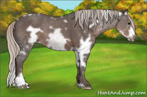 Horse Color:White Spotted Silver Black Frame 