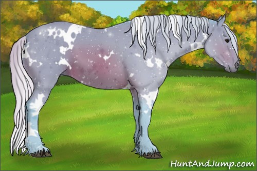 Horse Color:Watercolor White Spotted Silver Brown 