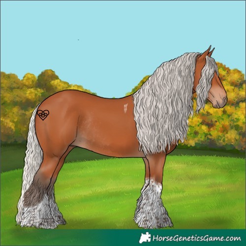 Horse Color:Silver Bay Tobiano Rabicano