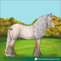 Horse Color:Silver Blue Roan Pearl