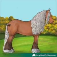 Horse Color:Silver Bay 