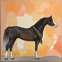 Horse Color:Brown Splash 