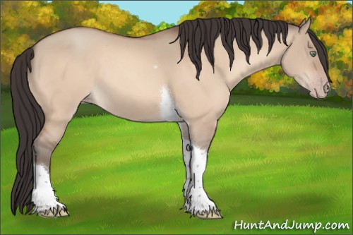 Horse Color:Sable Champagne Dun Tobiano 