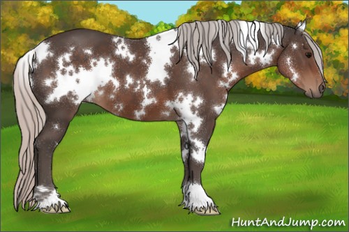 Horse Color:White Spotted Silver Black 