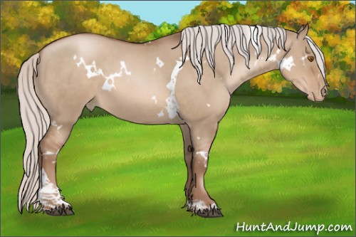 Horse Color:White Spotted Silver Grullo Pearl Tobiano 