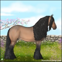 Horse Color:Bay Roan Dun