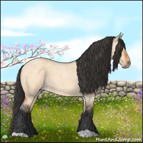 Horse Color:Bay Roan Dun