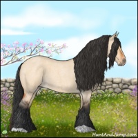 Horse Color:Bay Roan Dun 