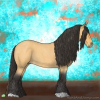 Horse Color:Buckskin Roan 
