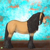 Horse Color:Buckskin 