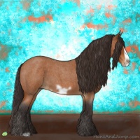 Horse Color:Buckskin Roan Frame 