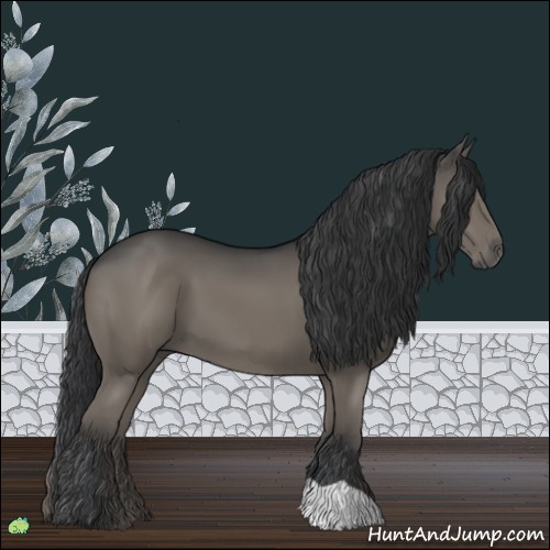 Horse Color:Grullo 