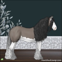 Horse Color:Grullo Splash 