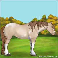 Horse Color:Liver Red Dun Roan Pearl Tobiano Frame 