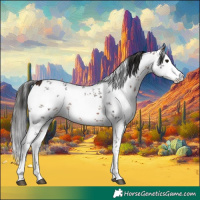 Horse Color:Brown Sabino 