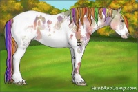 Horse Color:Painted Nacre Chestnut Sabino Splash Tobiano Appaloosa 
