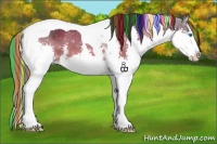 Horse Color:Painted Bay Sabino Splash Tobiano Appaloosa 