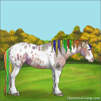 Horse Color:Painted Nacre Bay Splash Tobiano Appaloosa 