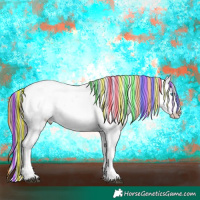 Horse Color:Painted Nacre Brown Splash Tobiano Appaloosa 