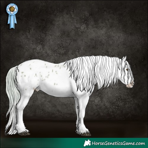 Horse Color:Watercolor Chocolate Palomino Sabino Appaloosa